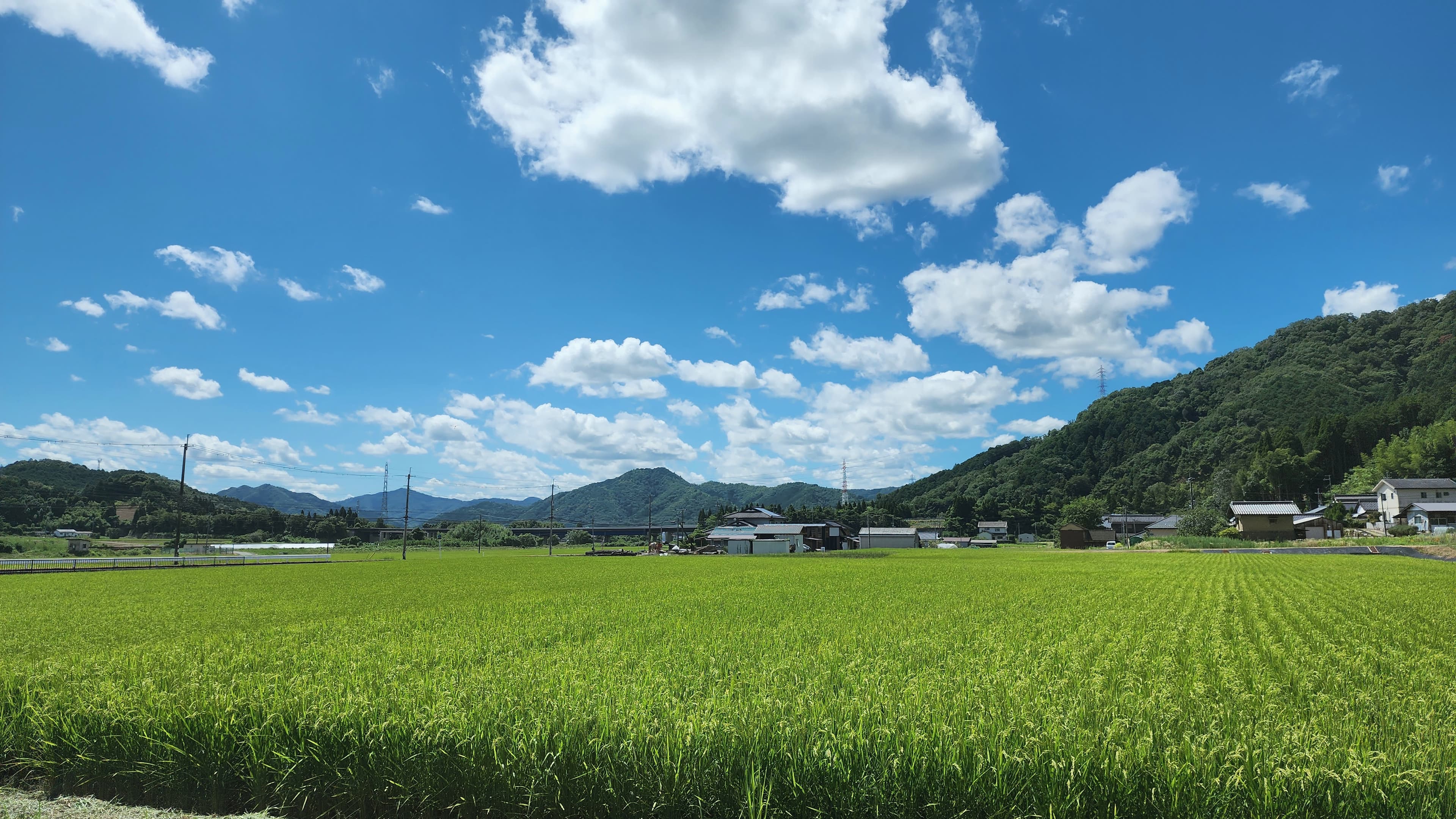 夏空の白い雲の下、山里に広がる緑の稲田