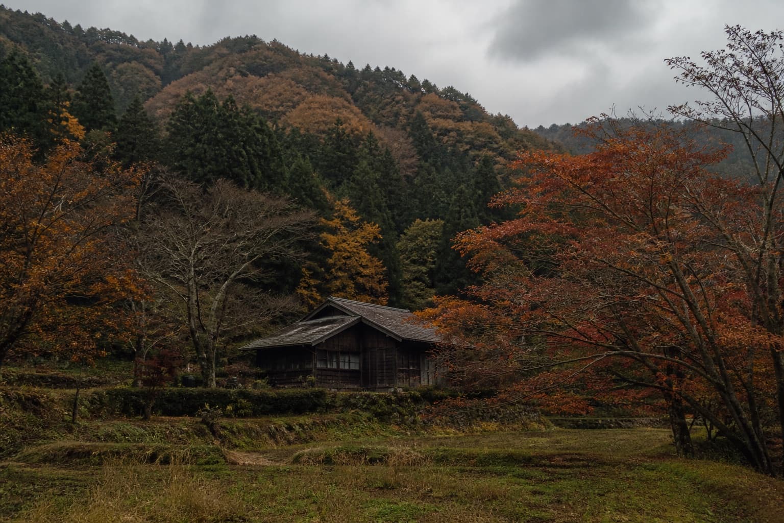 秋色の山あいに佇む古い木造家屋