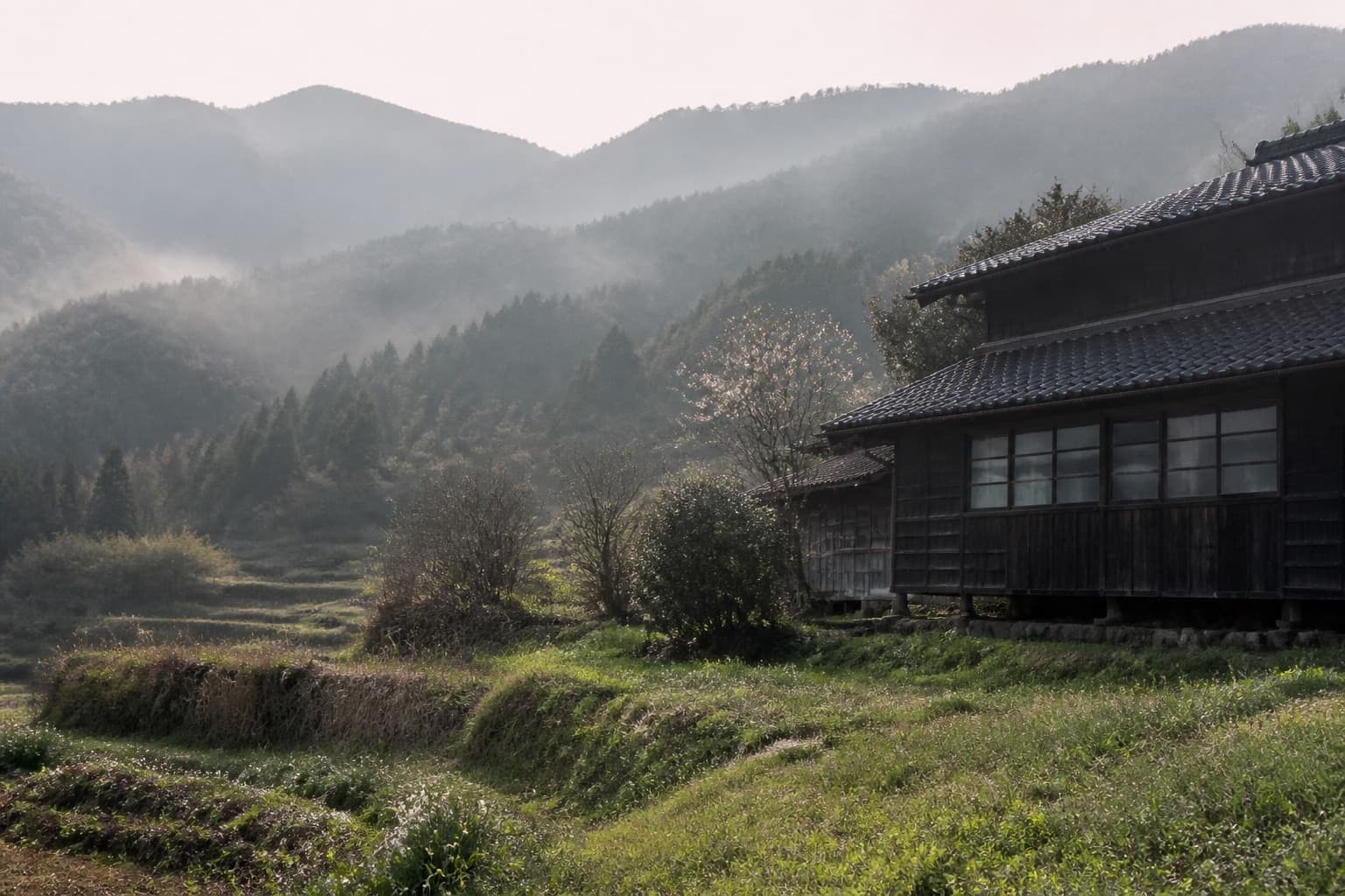 春霞の里山と古い木造家屋