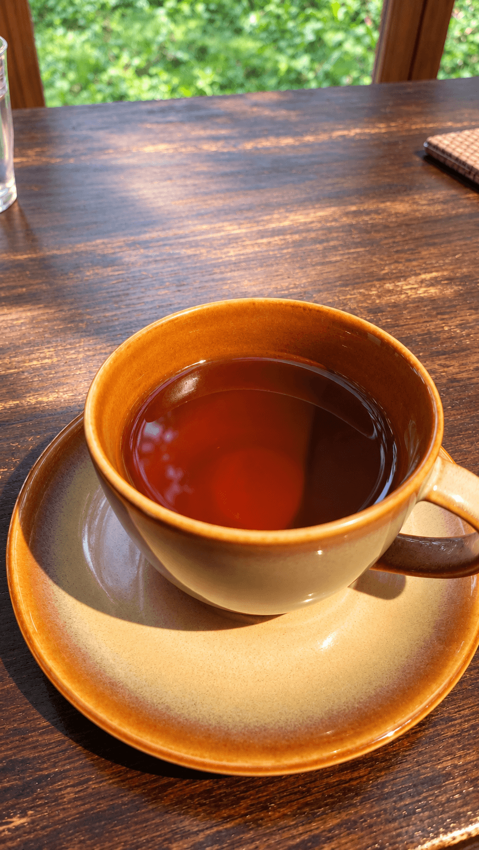 緑を望む窓辺の木の卓上で、朝の光を受ける一杯の茶